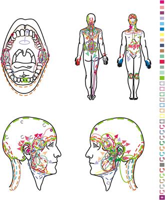 Evaluation of Orofacial and General Pain Location in Patients With Temporomandibular Joint Disorder—Myofascial Pain With Referral